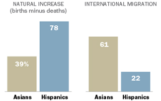 Hispanic Vs Asian 91